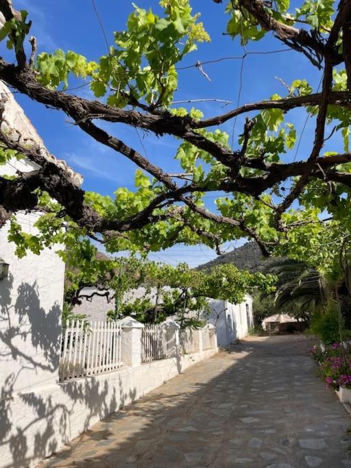 Real Fundicion De Alcora Villa Canjayar Ngoại thất bức ảnh