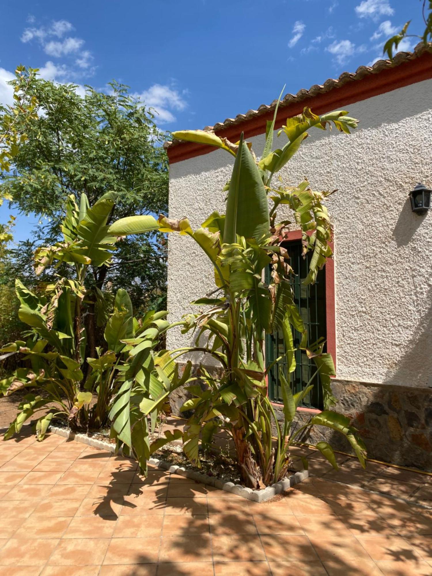 Real Fundicion De Alcora Villa Canjayar Ngoại thất bức ảnh